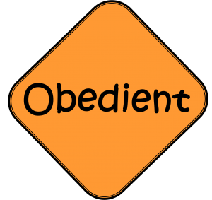 VBS obedient